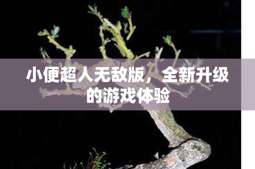 全新升级的游戏体验图片