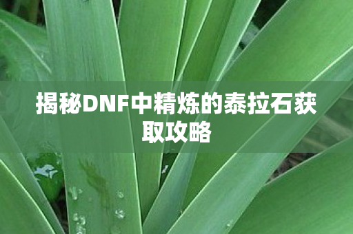 揭秘DNF中精炼的泰拉石获取攻略图片