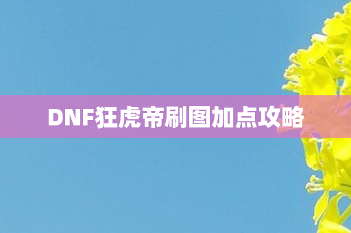 DNF狂虎帝刷图加点攻略图片
