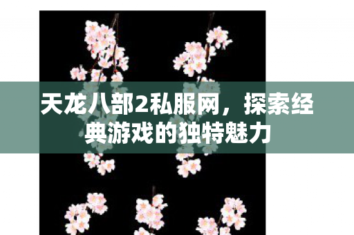 探索经典游戏的独特魅力图片