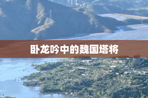 卧龙吟中的魏国塔将图片