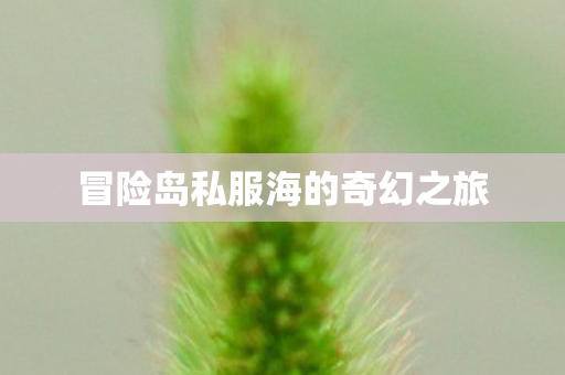 冒险岛私服海的奇幻之旅图片