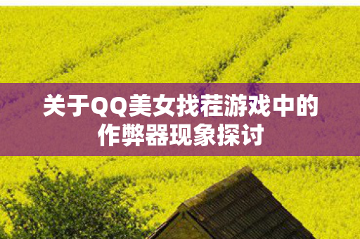 关于QQ美女找茬游戏中的作弊器现象探讨图片
