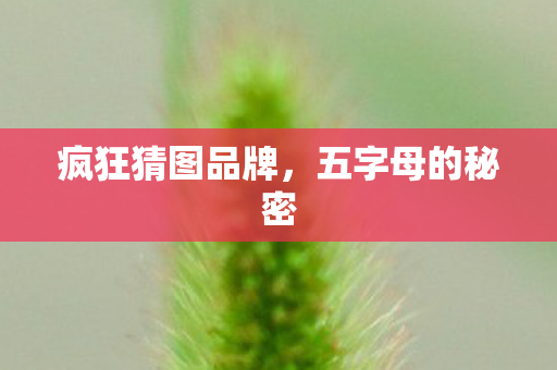 疯狂猜图品牌图片