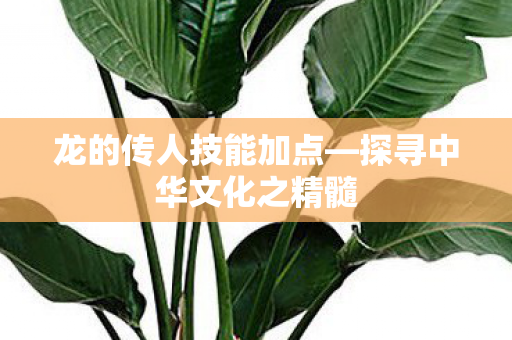 探寻中华文化之精髓图片