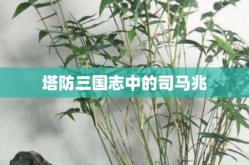塔防三国志中的司马兆图片