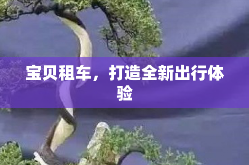 打造全新出行体验图片