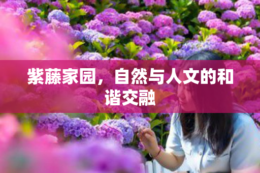 自然与人文的和谐交融图片
