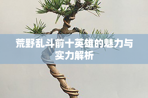 荒野乱斗前十英雄的魅力与实力解析图片