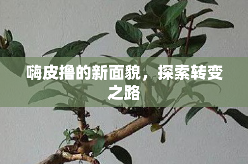 嗨皮撸的新面貌图片