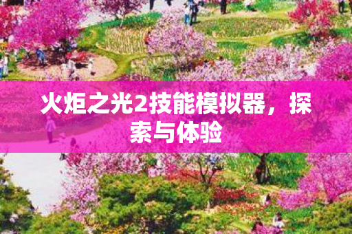 火炬之光2技能模拟器图片