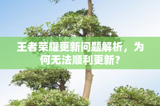 王者荣耀更新问题解析图片