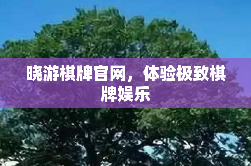 体验极致棋牌娱乐图片