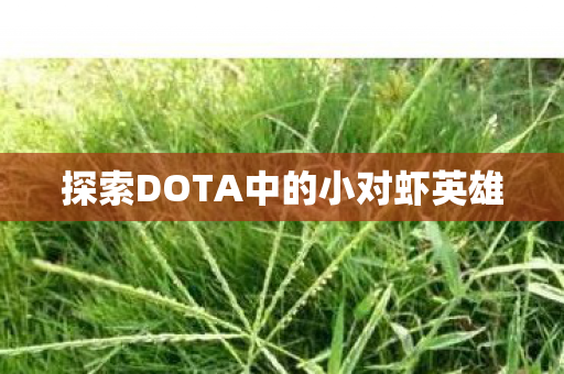 探索DOTA中的小对虾英雄图片