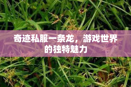 游戏世界的独特魅力图片