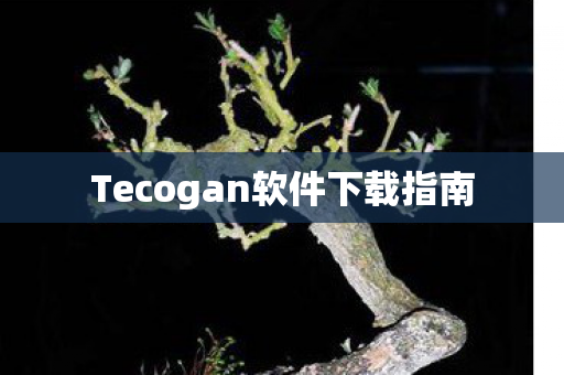 Tecogan软件下载指南图片