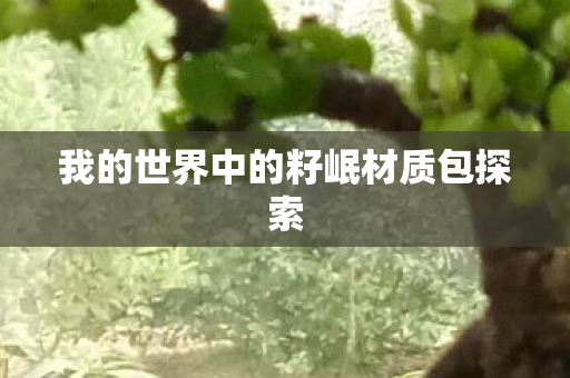 我的世界中的籽岷材质包探索图片