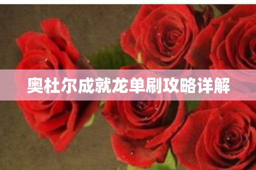 奥杜尔成就龙单刷攻略详解图片