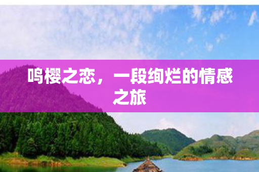 一段绚烂的情感之旅图片