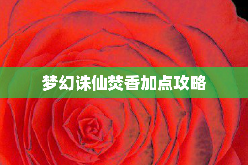 梦幻诛仙焚香加点攻略图片