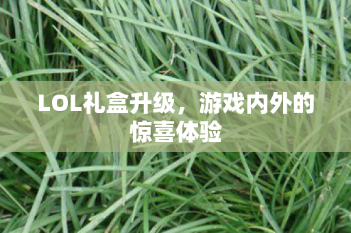 游戏内外的惊喜体验图片