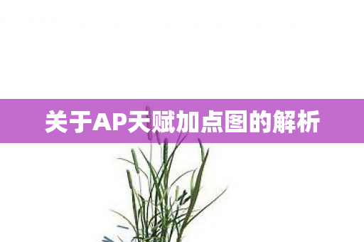 关于AP天赋加点图的解析图片