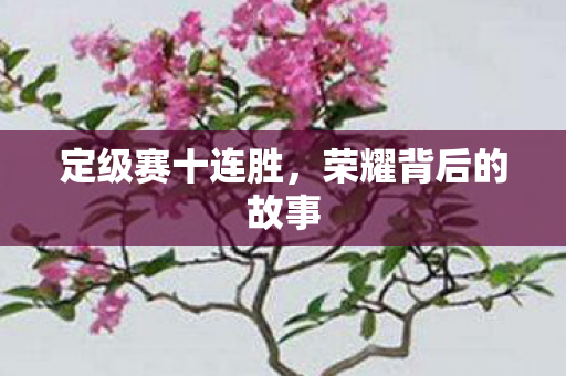 荣耀背后的故事图片