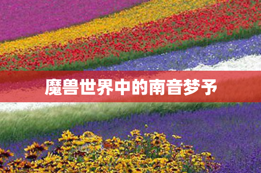 魔兽世界中的南音梦予图片