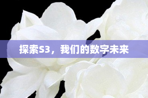 我们的数字未来图片