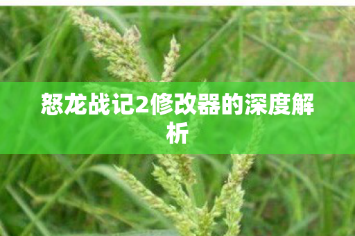 怒龙战记2修改器的深度解析图片