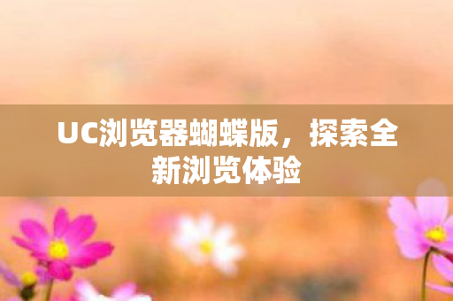 UC浏览器蝴蝶版图片