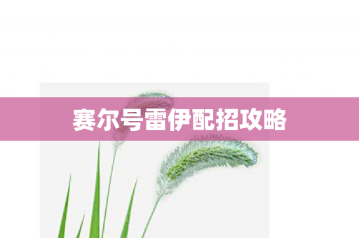 赛尔号雷伊配招攻略图片