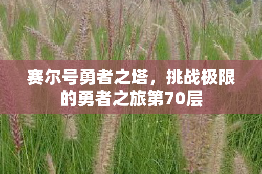 挑战极限的勇者之旅第70层图片
