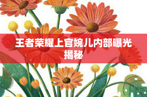 王者荣耀上官婉儿内部曝光揭秘图片