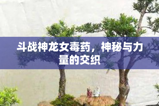 神秘与力量的交织图片