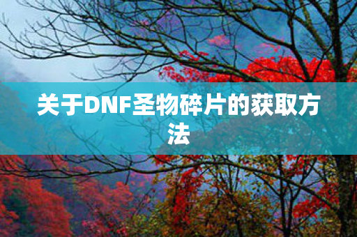 关于DNF圣物碎片的获取方法图片