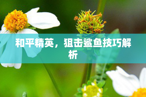 狙击鲨鱼技巧解析图片
