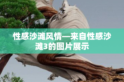 来自性感沙滩3的图片展示图片