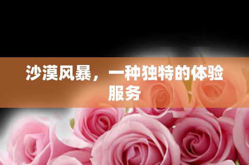 一种独特的体验服务图片