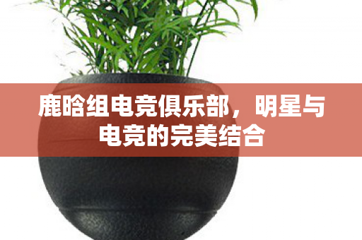 明星与电竞的完美结合图片