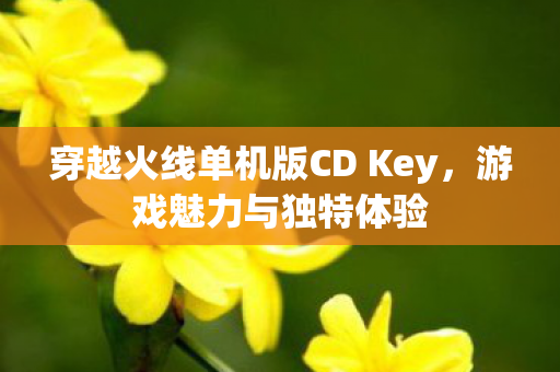 穿越火线单机版CD Key图片