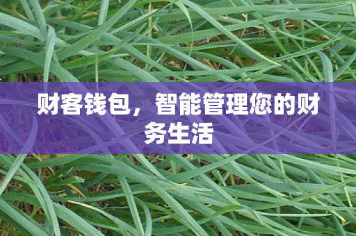智能管理您的财务生活图片