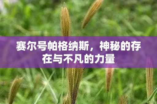 神秘的存在与不凡的力量图片