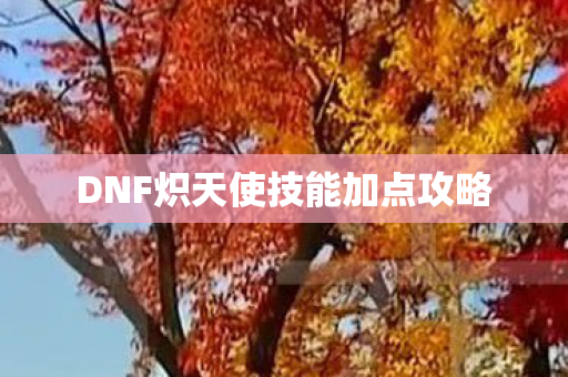DNF炽天使技能加点攻略图片