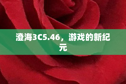 游戏的新纪元图片