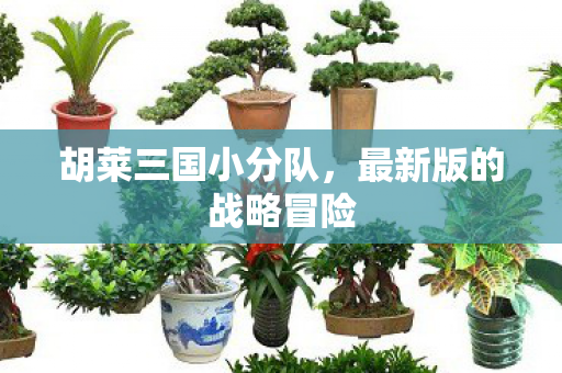 最新版的战略冒险图片