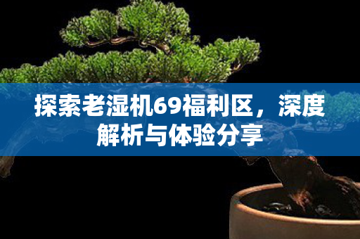 探索老湿机69福利区图片