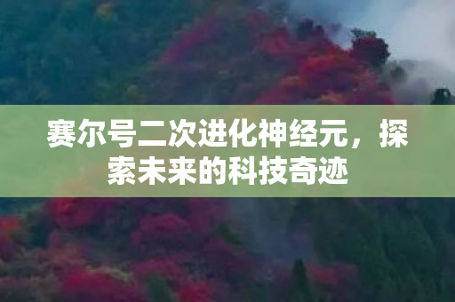赛尔号二次进化神经元图片
