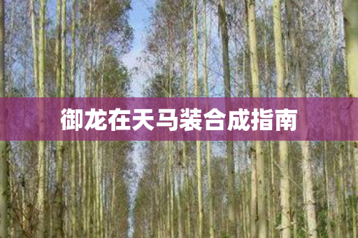 御龙在天马装合成指南图片