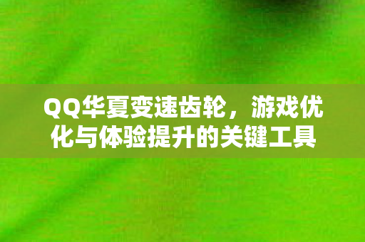 游戏优化与体验提升的关键工具图片